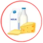 Dairy